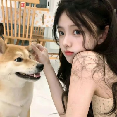 探险活宝第七季